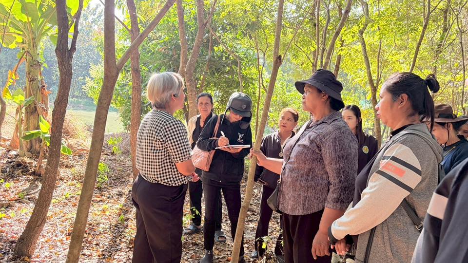 title - ส.ป.ก.อ่างทอง จัดอบรมโครงการยกระดับศักยภาพการพัฒนาสินค้าเกษตรชีวภาพ กิจกรรมยกระดับศักยภาพการเกษตรชีวภาพ ปีงบประมาณ พ.ศ. 2569 หลักสูตร “การเพิ่มประสิทธิภาพการผลิตพืชสมุนไพรในเขตปฏิรูปที่ดิน“